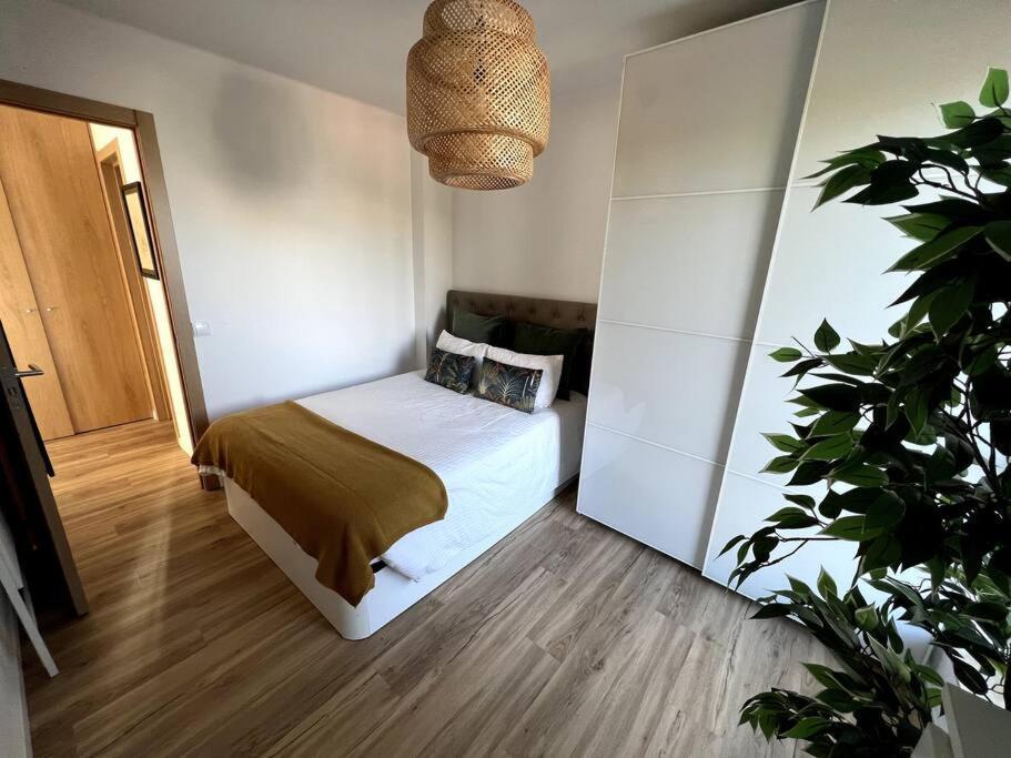 Apartmán Penthouse Terraco De Coimbra Exteriér fotografie